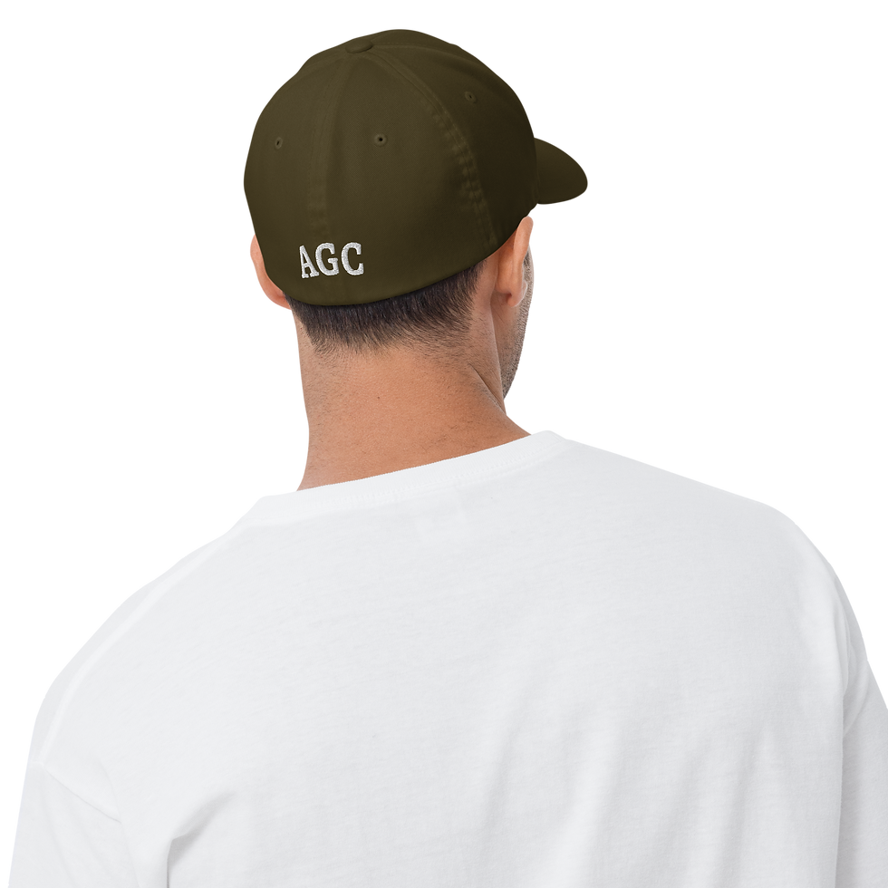Thumbnail: Embroidered Ladybug Structured Twill Cap