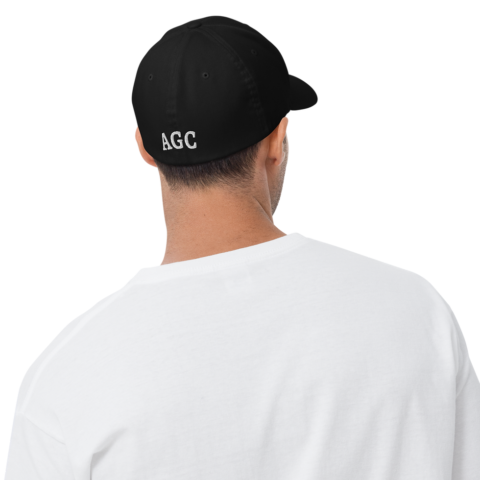 Thumbnail: Embroidered Ladybug Structured Twill Cap