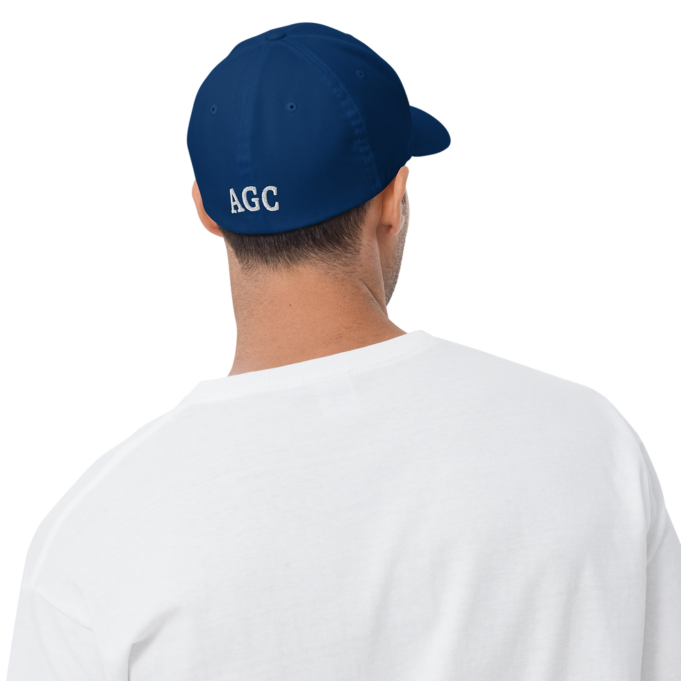 Thumbnail: Embroidered Ladybug Structured Twill Cap