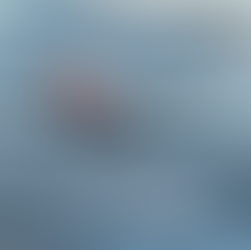 Season’s Greetings