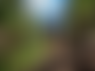 Sustainable Outdoor Adventures: Hiking, Kayaking & More for an Eco-Summer