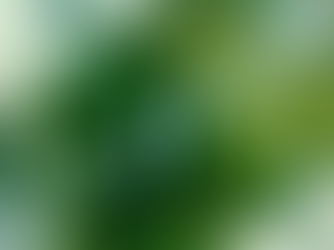 Sustainable Travel Habits to Adopt in 2026