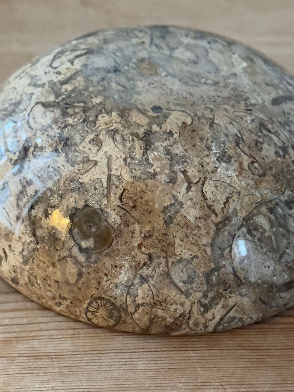 Thumbnail: Fossil Stone Bowl