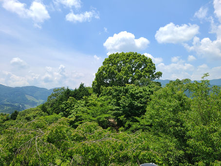 🌿みろくのとき通信 vol.1🌿サムハラの麓から、夏のお便り