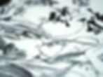 _DSF0379.jpg