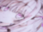 _DSF0382.jpg