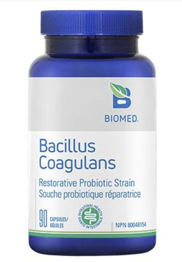Does Bacillus Coagulans Help With Yeast Infections BACILLUS COAGULANS | Spring House Health