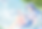 IW2023-望月しいな.png