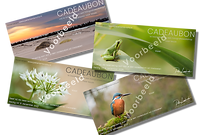 Cadeaubonnen (collage).png