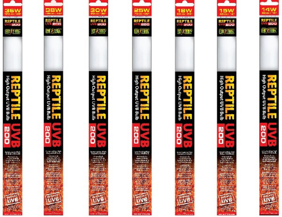 Exo Terra 30” Reptile UVB200 25Watt