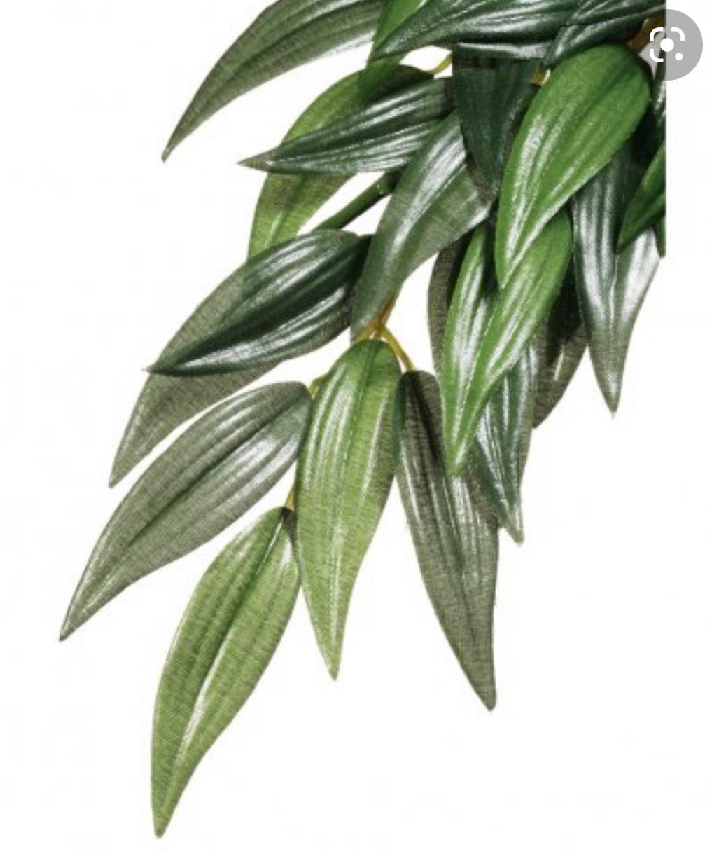 ET Silk Plant Ruscus Small PT3031