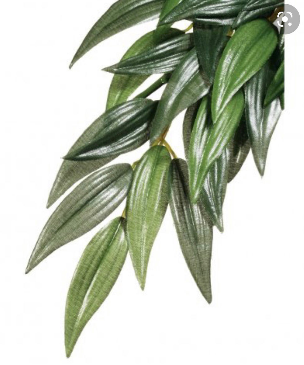 ET Silk Plant Ruscus Small PT3031