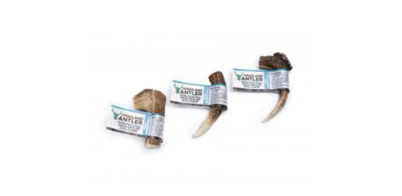 Medium Highland Antler 