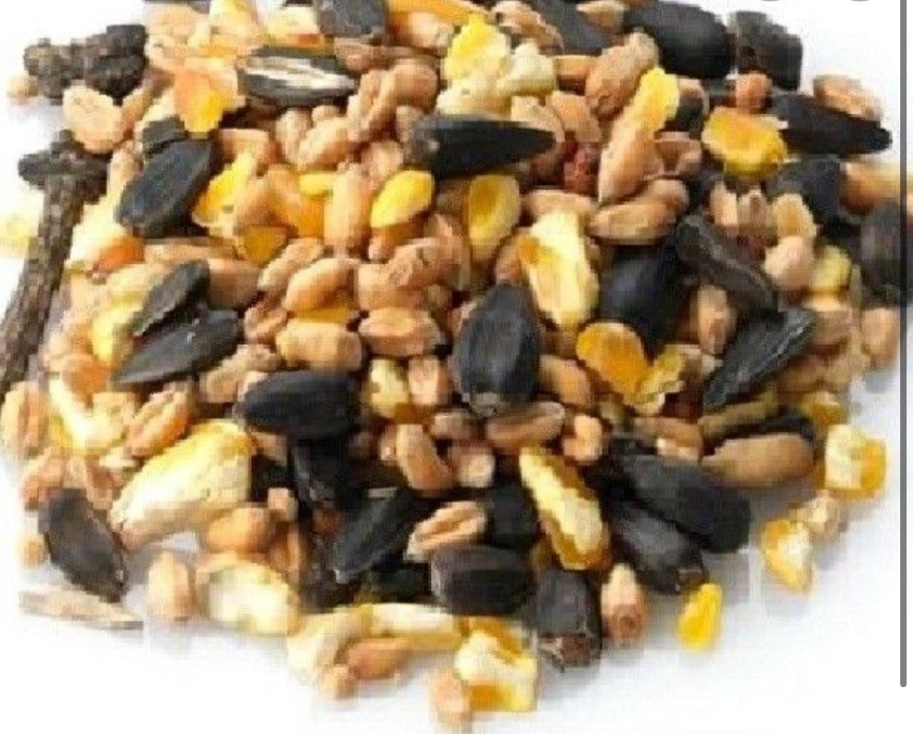 Wings Wild Bird Seed 400g
