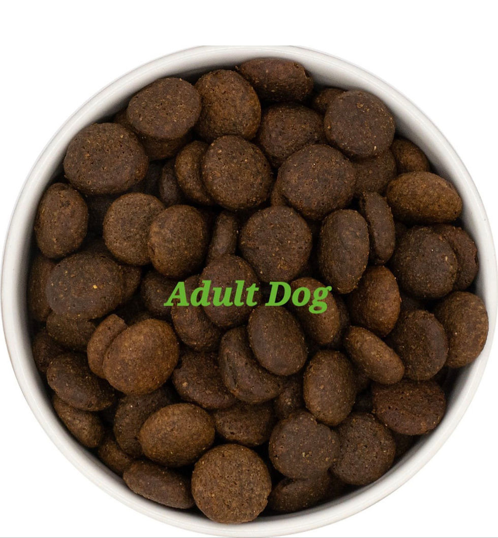 Thumbnail: Pets Xtra Grain Free Adult Angus Beef 12kg 
