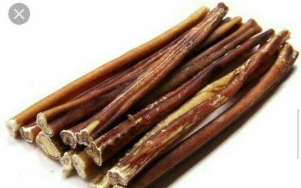 Thumbnail: Bulls Pizzle (3 Sizes) 