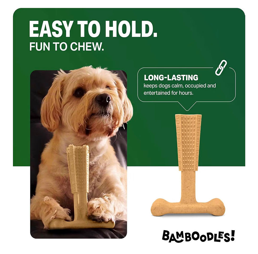 Dog with Bamboodles chew toy. Easy to hold, fun to chew.