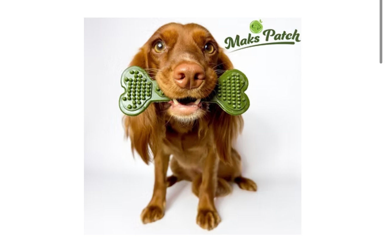 Brown dog with Maks Patch green bone chew toy