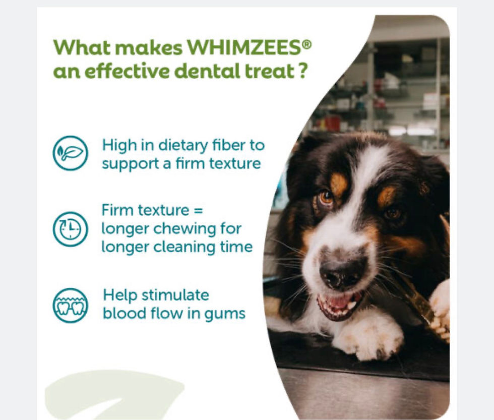 Thumbnail: Dog chewing WHIMZEES dental treat with benefits description