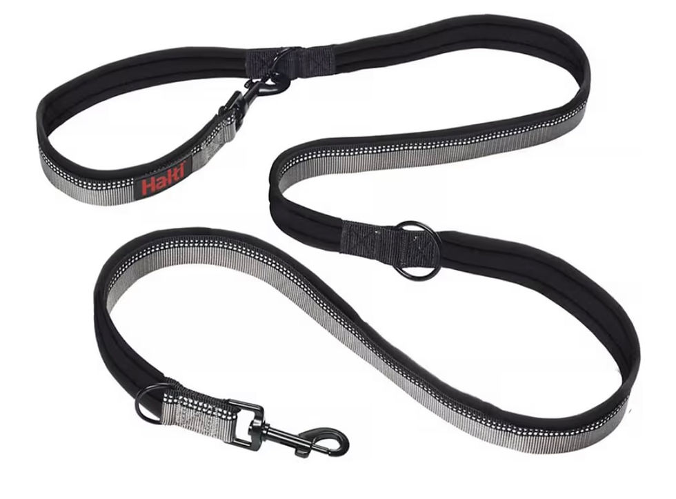 Thumbnail: Halti Double Ended Lead 