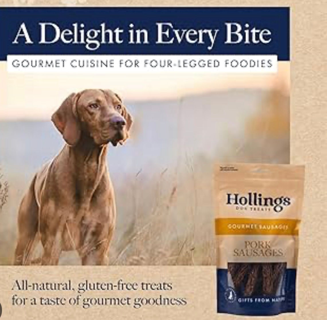 Vizsla dog with Hollings gourmet all-natural treats