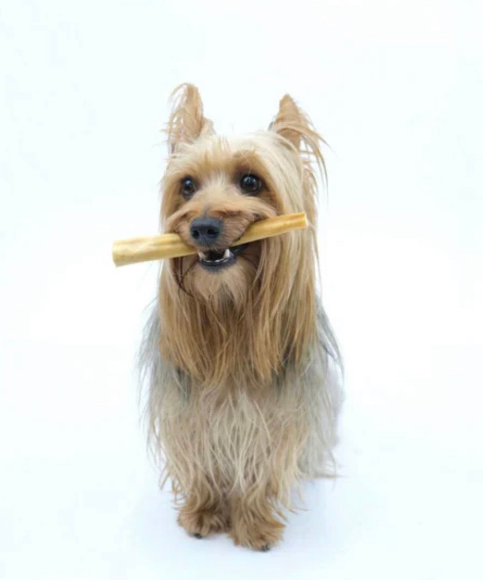 buy pet products online, local pet shop, local pet shop near me, local pet shops, local pet shops near me, online cat products, online dog products, online pet accessories, online pet products, online pet shop, online pet stores, online pets shop, online uk pet store, pet accessories online, pet accessories shop, pet accessory store, pet care products, pet food and supplies, pet food suppliers, pet food supply, pet product online, pet products, pet products online store, pet products uk, pet shop halstead, pet shop local, pet shop online, pet store, pet stores online, pet stores uk online, pet suppliers online, pet supplies great yeldham, pet supplies halstead, pet supplies shop online, pet supplies uk, petcare products, pets food shop, pets online store, pets products online, pets xtra, products for animals, uk dog products, uk online pet store, uk pet store online