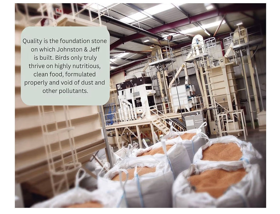 Thumbnail: Johnston & Jeff Low Sunflower for African Greys 