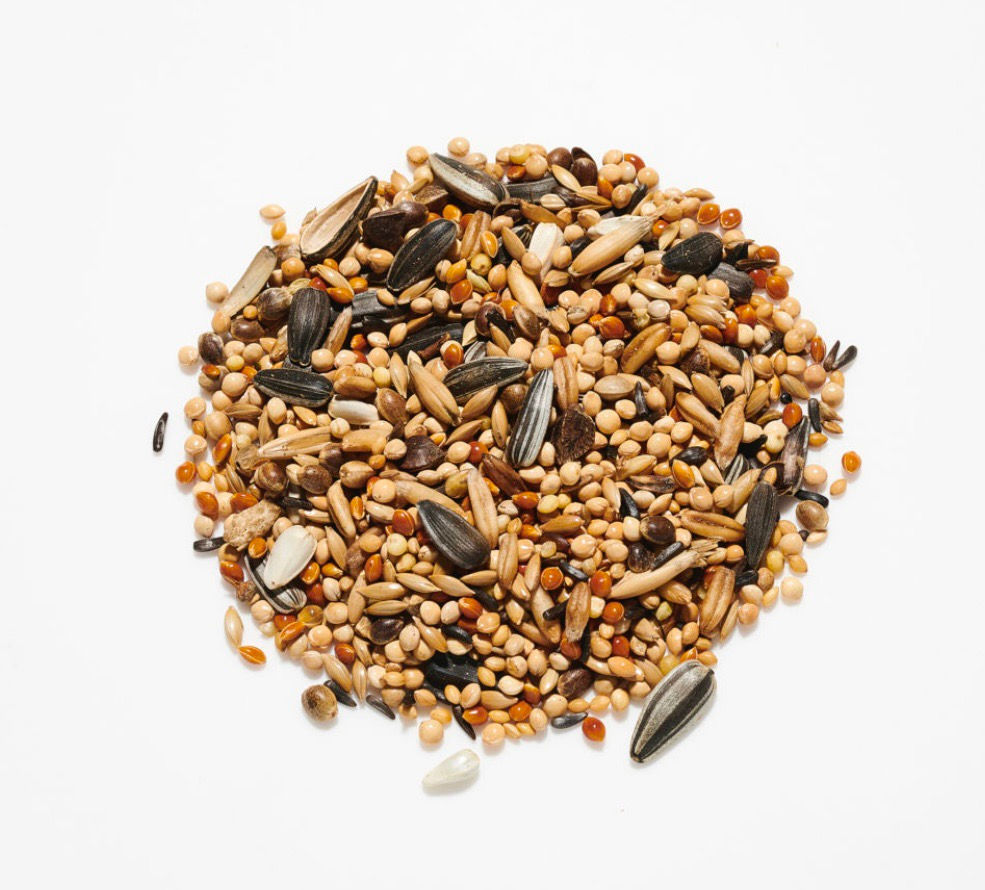 Parakeet/Cockatiel 400g