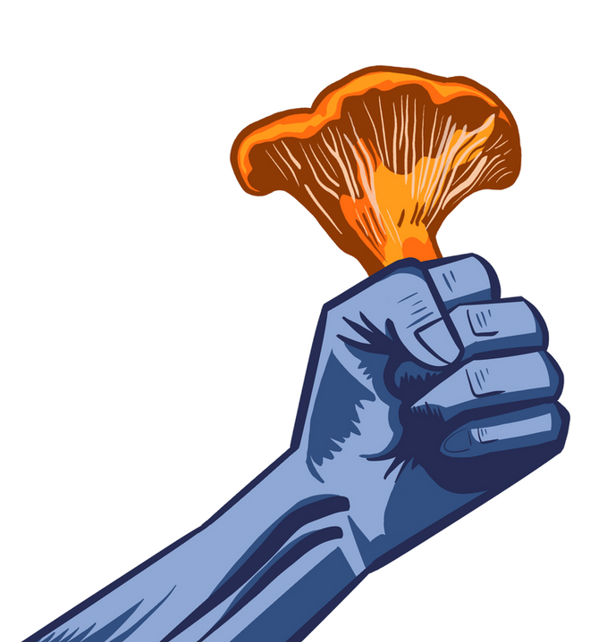WEBMushArm.png