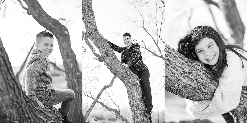 Three children smiling while climbing on tree branches in a park. Black and white image, playful and joyful atmosphere.