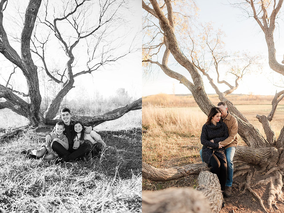 Family and couple sit under leafless trees in a grassy field. The family smiles; the couple embraces tenderly. Autumn setting, serene mood.