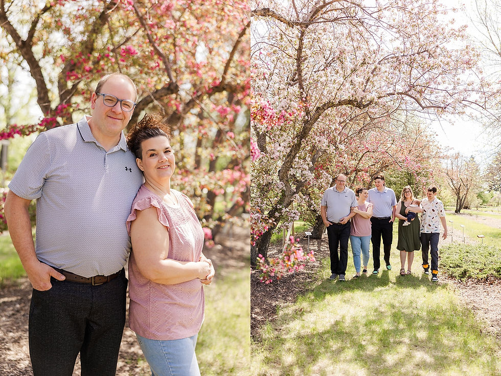 Couple posing and a family walking under blooming pink trees in a sunny garden. Lush green grass, relaxed and cheerful mood.
