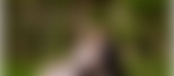 Saskatoon Family Portraits