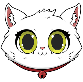 testa gatto bianco