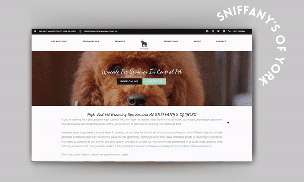 Sniffanys of York