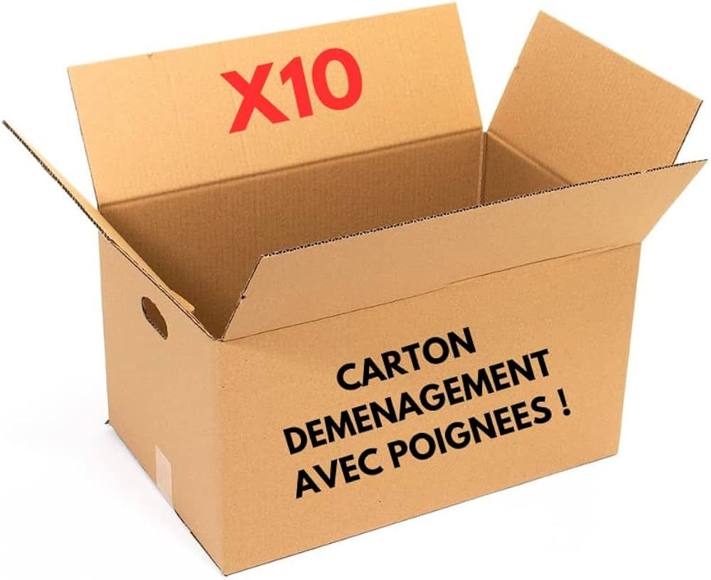 Article : Carton Déménagement Avec Poignées