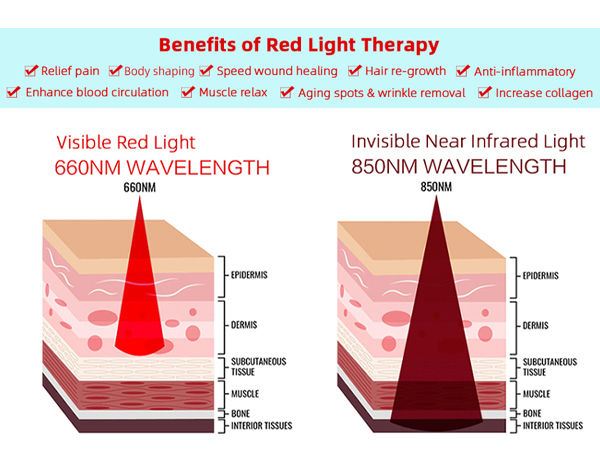 bf639a0a-6c0d-4804-a335-9c0664b564e0.__CR0,0,600,450_PT0_SX600_V1___