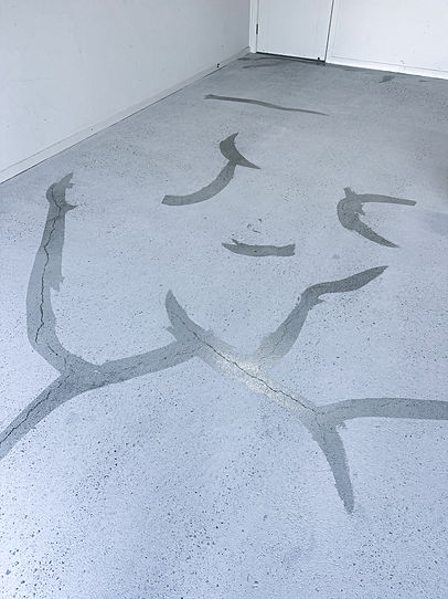 Cracks 2000px.jpg