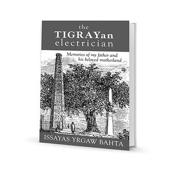IRGAU 3D Book cover.jpg