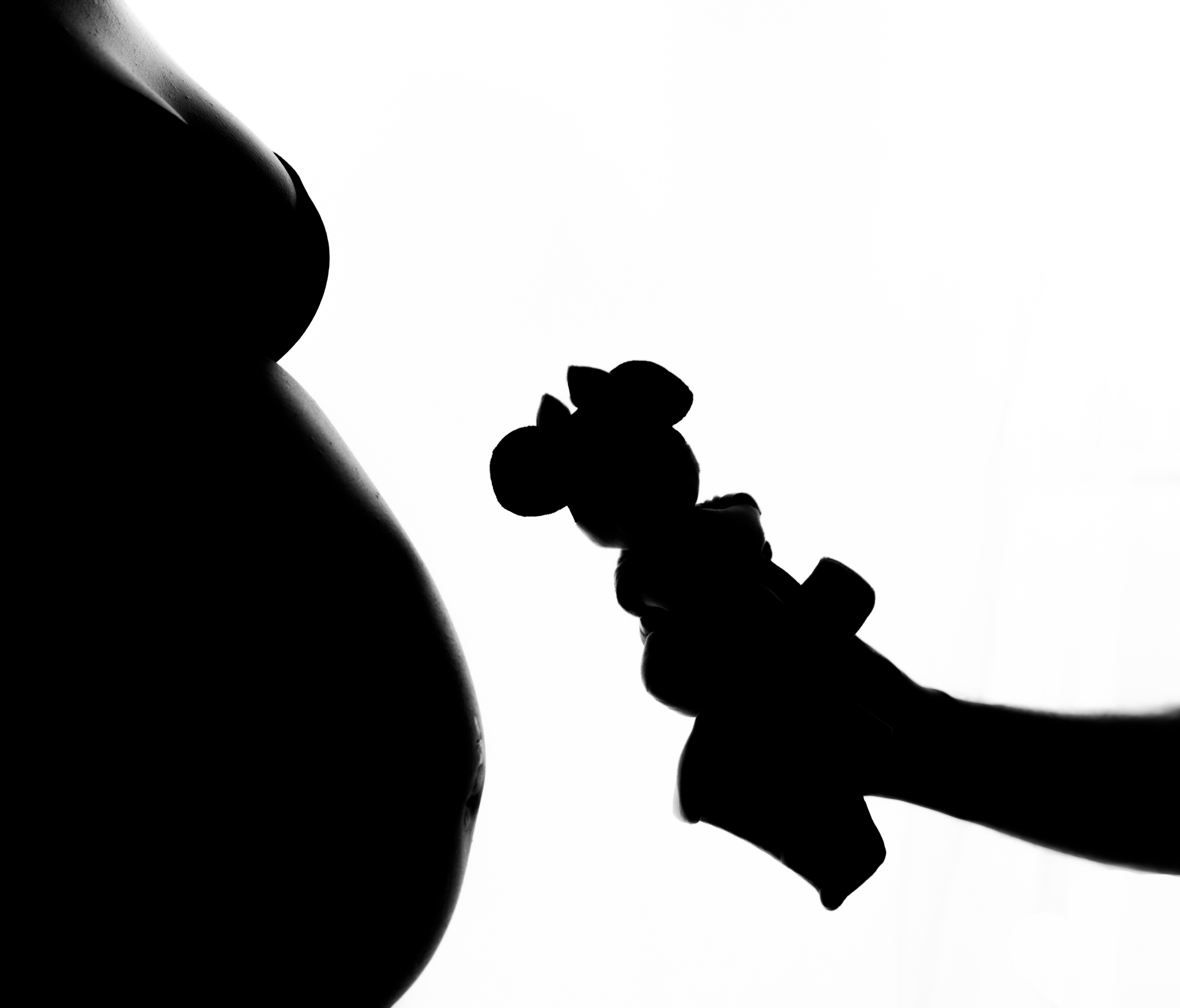 photographe famille arrivée de bébé