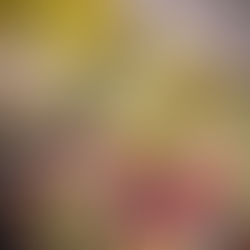 Art Fairs Are Back: Join Me at Lambermontmartre in Antwerp!