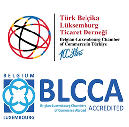 Panelist at Belgian-Turkish Chamber of Commerce: COP31 Preparation