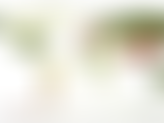 LNG Forecasts Decline: Supply Surges, Demand Softens