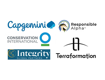 Nature-based Carbon Credits: Role in Corporate Climate and Nature Strategies