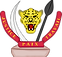 Logo RDC.png