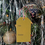 Thumbnail: Tree of the Year Gift Tags