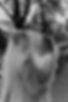 Sluier