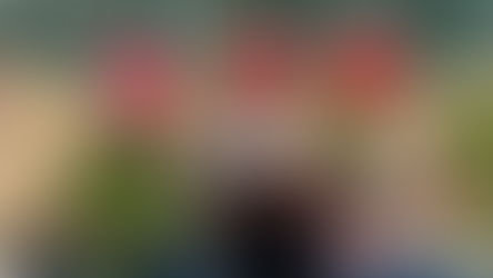 にんじん収穫です