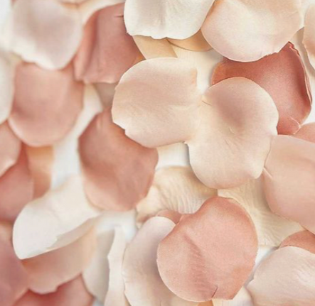 Screenshot 2025-11-12 at 12.11.13 PM.png