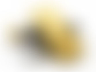 gold and silver bars